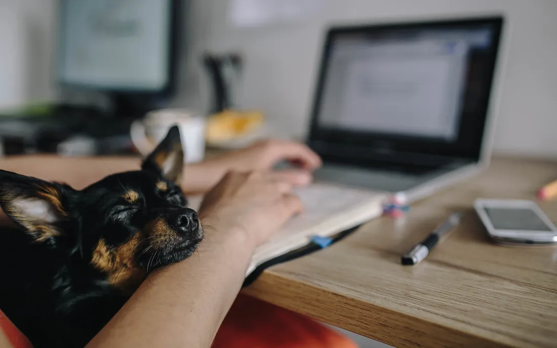 Vendi R$12 mil num mês e todo cliente veio do Google